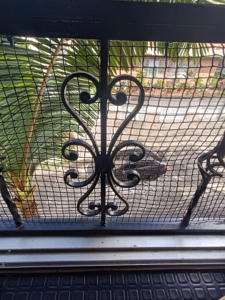 vivenorte,venta,apartamento,casa,bello,cabañas,propiedadraiz