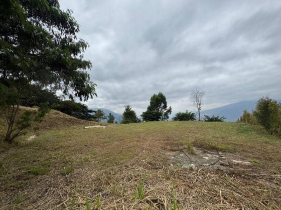 vivenorte,venta,apartamento,casa,bello,parcelacionnorteamerica,propiedadraiz