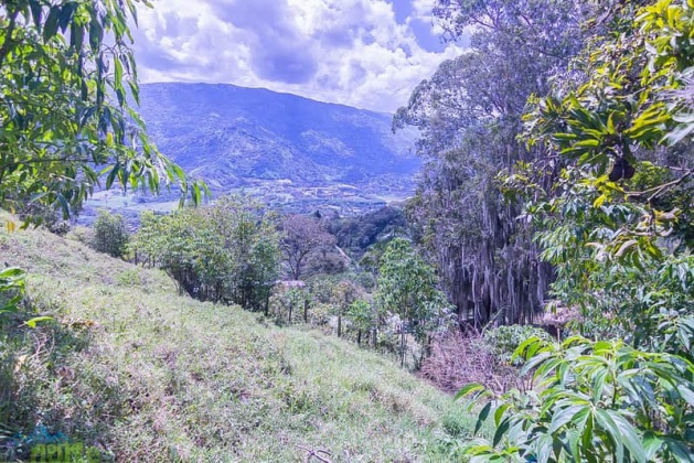 vivenorte,venta,apartamento,casa,barbosa,veredafiloverde,propiedadraiz