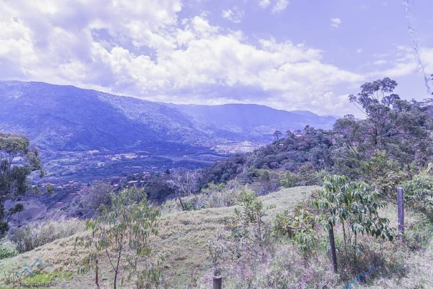 vivenorte,venta,apartamento,casa,barbosa,veredafiloverde,propiedadraiz