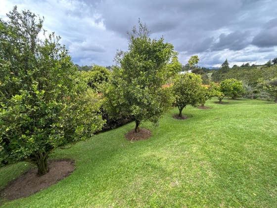 vivenorte,venta,apartamento,casa,rionegro,sierrasdelamacarena,propiedadraiz