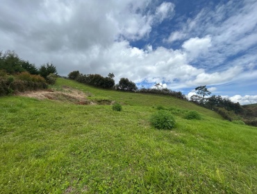 vivenorte, carmen de viboral, antioquia, venta de lotes el carmen