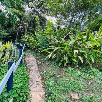 vivenorte, venta finca, venta casa campestre, copacabana propiedad raiz, venta de lote, el zarzal, la chosca