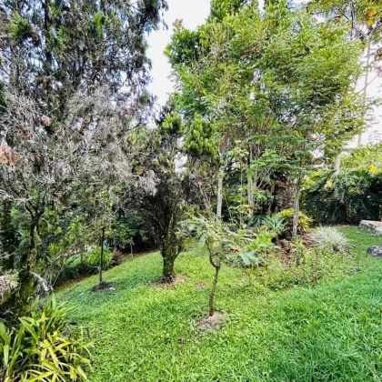 vivenorte, venta finca, venta casa campestre, copacabana propiedad raiz, venta de lote, el zarzal, la chosca