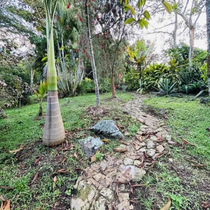 vivenorte, venta finca, venta casa campestre, copacabana propiedad raiz, venta de lote, el zarzal, la chosca
