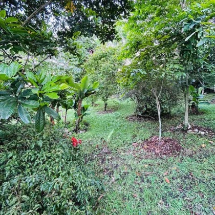 vivenorte, venta finca, venta casa campestre, copacabana propiedad raiz, venta de lote, el zarzal, la chosca