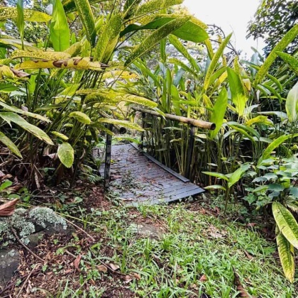 vivienorte, venta casa finca, casa campestre, copacabana bienes raices, venta lote, luxuryhomes